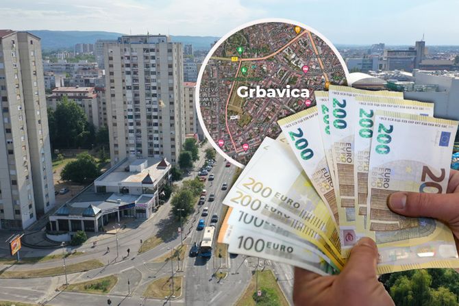 Novi Sad Grbavica pare