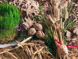 Seno Badnje veče, Božić