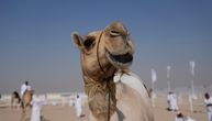 Ovoliku sreću kamila zbog vode sigurno nikad niste videli