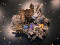 badnji venac badnji dan božić