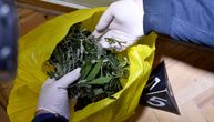 Uhapšen Vlasotinčanin: Policija mu pronašla više od 1 kg marihuane