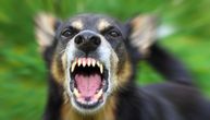 Policija i Zoo higijena u selu u kome je pas ujeo devojčicu (9) za usnu
