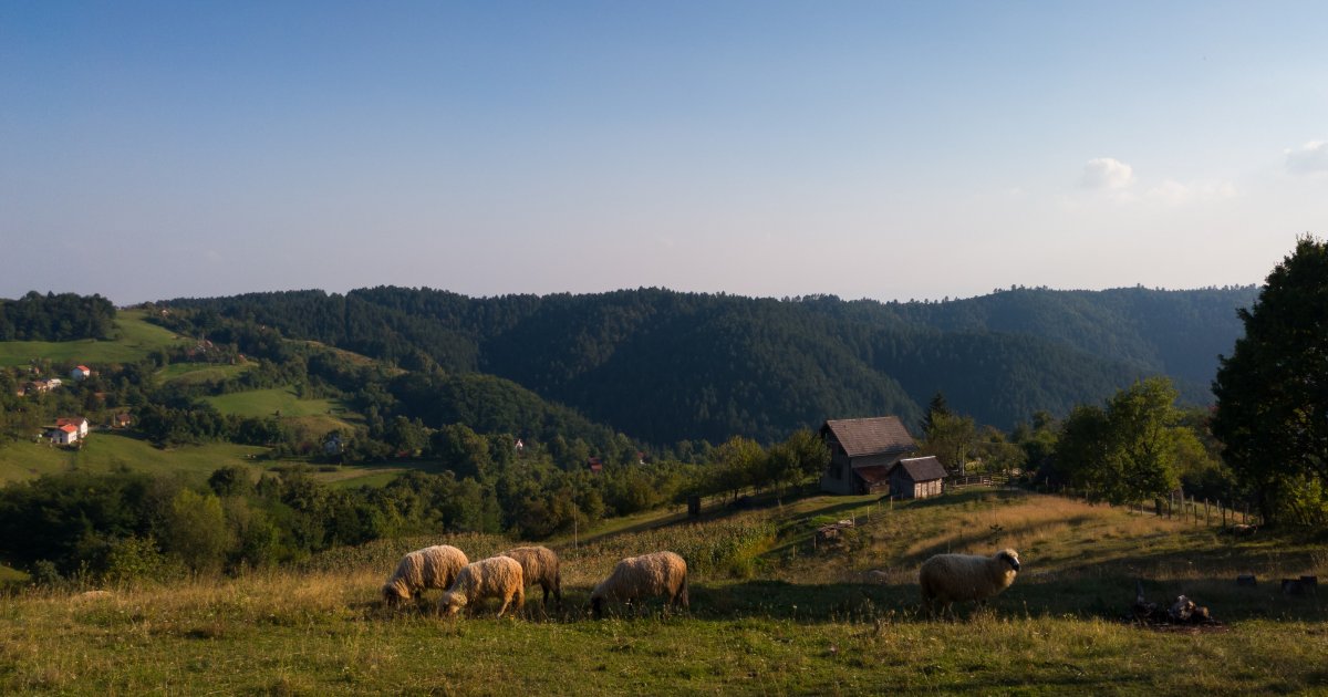 Manastir zanimljivog naziva nalazi se na ovoj planini: U blizini je i jedna od najstarijih banja u Srbiji