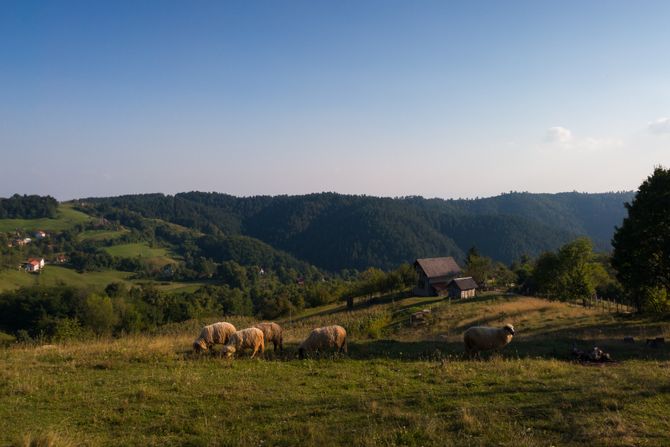 Planina Ozren