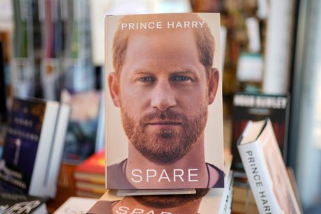 Knjiga princa Harija "Spare"