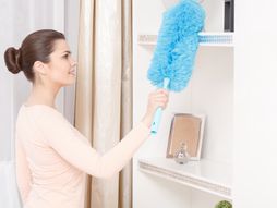 prašina, čišćenje prašine, praško