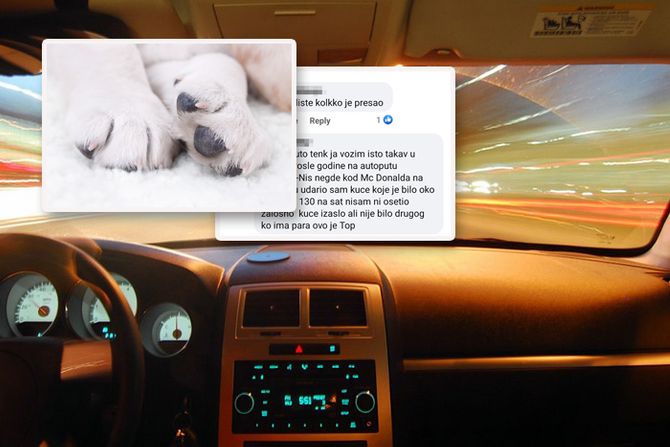 Udario kuče prepiska Udario kuče prepiska