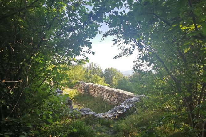 Planina Jelica