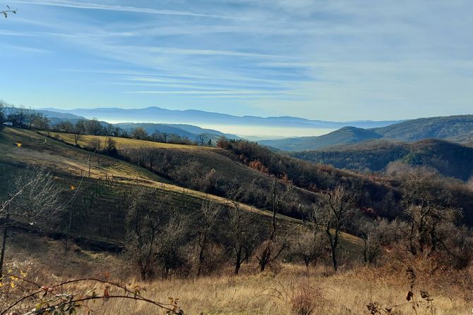 Gledićke planine