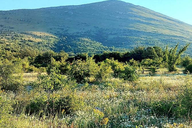 Manifestacija Biljober, planina Rtanj