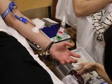 Zemun, škola, dobrovoljno davanje krvi