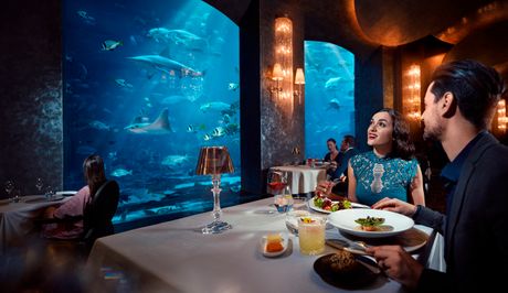 Dubai Dubai