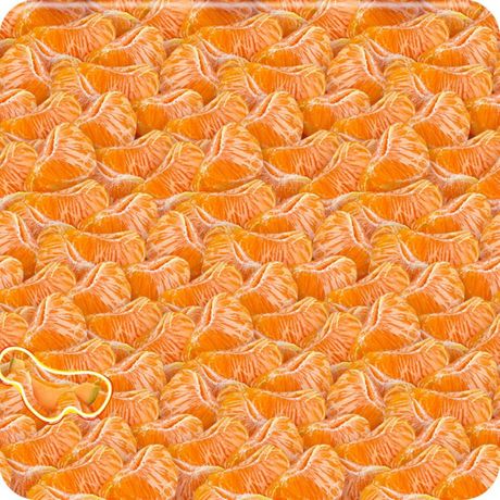 Skrivalica mandarine, dinja