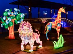 Kineski festival svetla