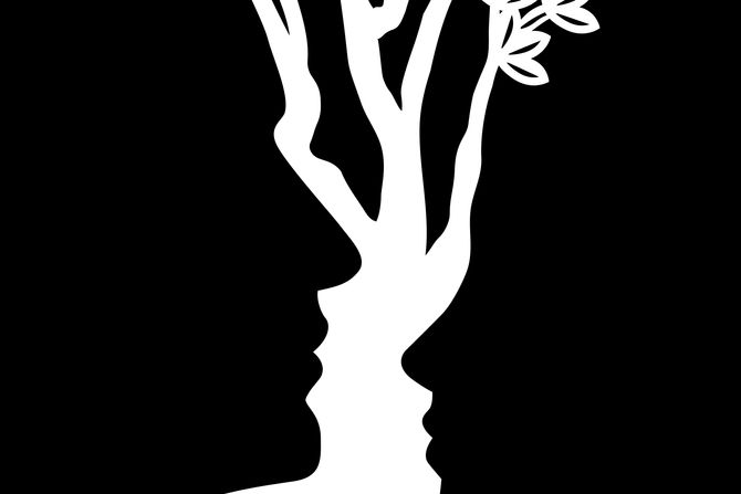 optička iluzija lica drvo optička iluzija lica drvo