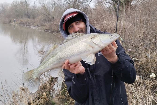 Slobodan Brus Malinić sa smuđem Slobodan Brus Malinić sa smuđem