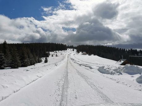 Golija