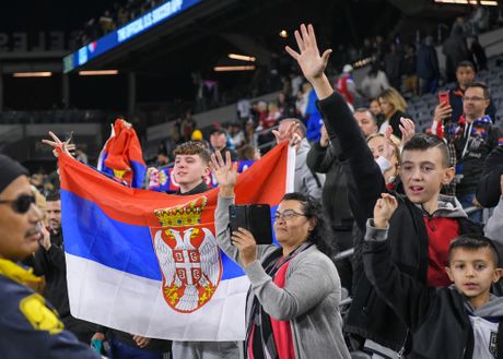 Fudbalska reprezentacija Srbije, FSS