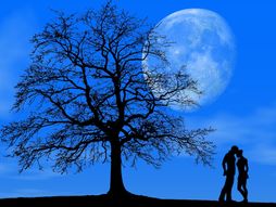 ljubav, horoskop, par