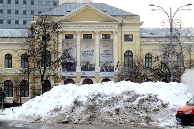 Rumunija Bukurešt sneg nevreme mećava