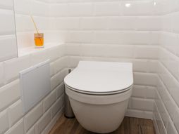 wc, toalet, wc šolja, miris, osveživač