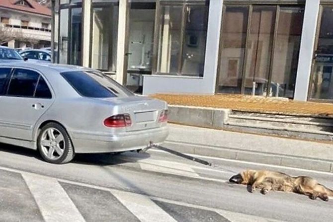 Užas u Posušju Bosna Posušje Pas Automobil Vezan Nasilje Užas u Posušju Bosna Posušje Pas Automobil Vezan Nasilje