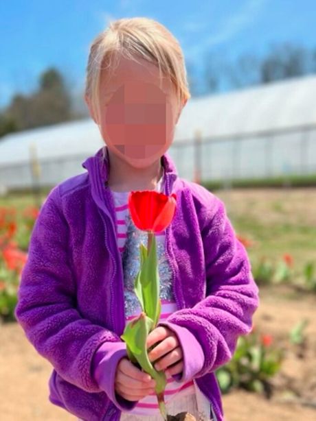 Lane Elizabeth Ladd Niz tragedija u Masačusetsu