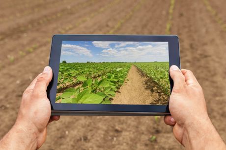Poljoprivreda, inovacije, savremena tehnologija, moderna poljoprivreda