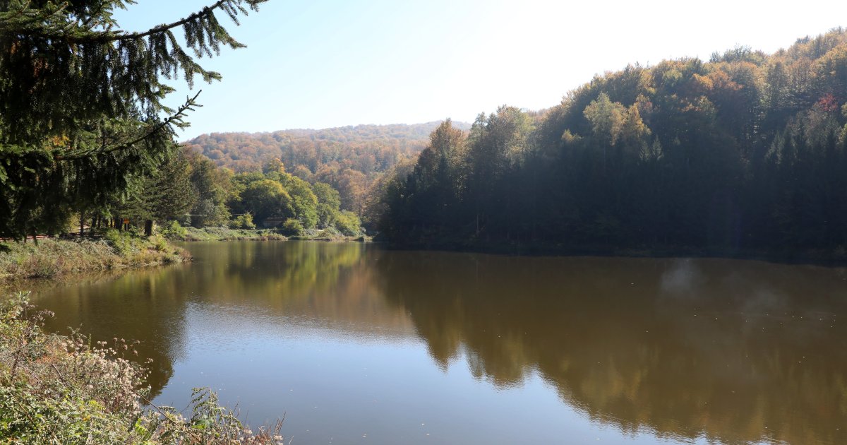 Raste vodostaj Drine, zatvoren parking na obali u Zvorniku