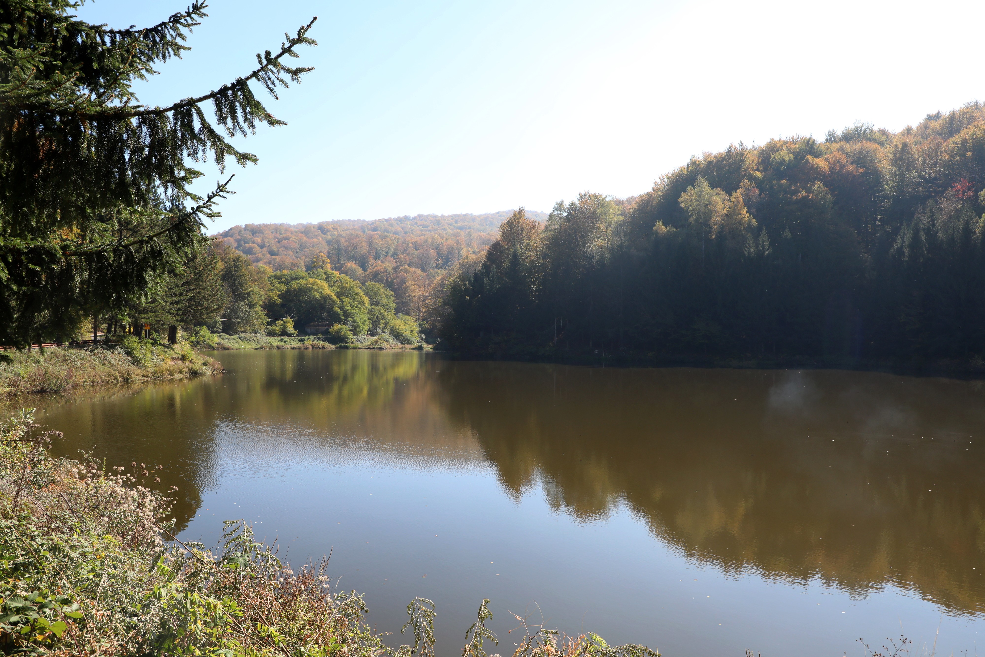 Raste vodostaj Drine, zatvoren parking na obali u Zvorniku