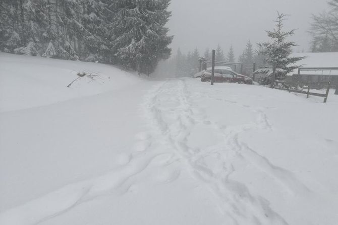 Sjenica  zavejana deonica Duga Poljana sneg snežni nanosi kolaps