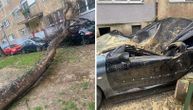 Drvo se obrušilo na automobil na Paliluli: Potpuno je smrskan