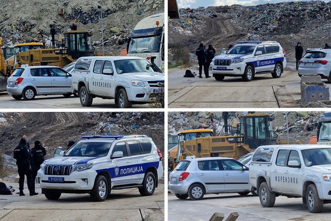 Otmica mladića iz  Sremske Kamenice hapšenje