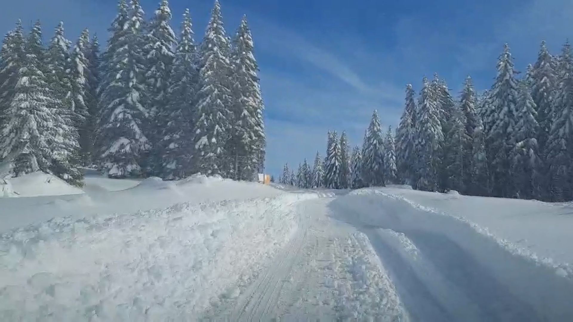 Zabelelo se kao da je januar: Sneg prekrio srpsku planinu, prizor je kao iz bajke