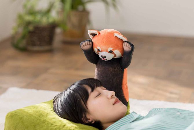 Robot panda Robot panda