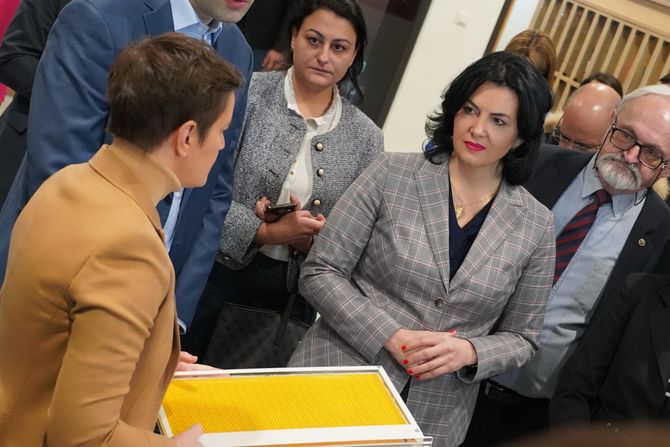 Ana Brnabić, Niš, Proširuju se kapaciteti Naučno-tehnološkog parka, Vlada ulaže još 20 miliona evra