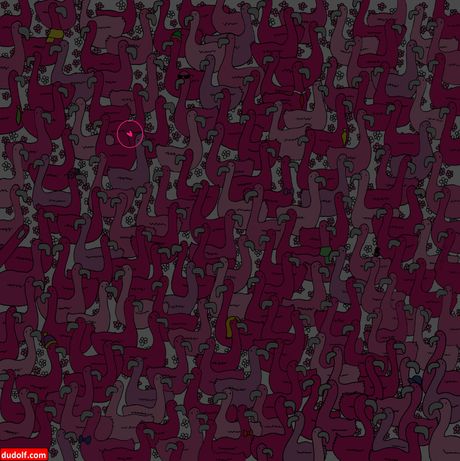 oprička varka, iluzija, test, mozgalica, Srce među flamingosima heart among the flamingos