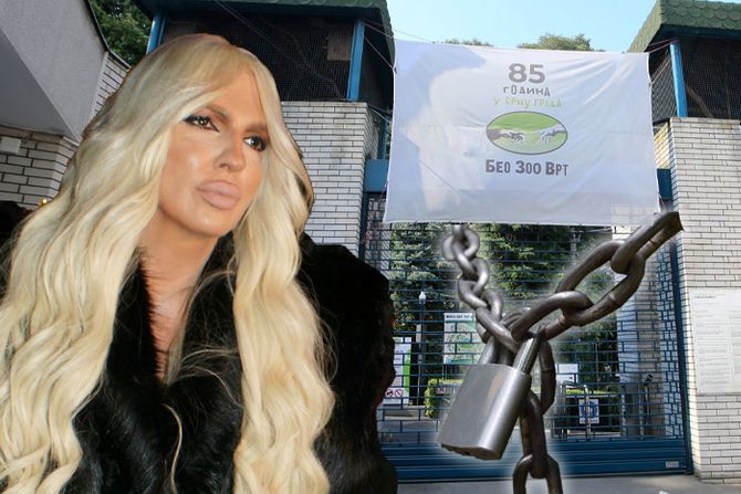 Jelena Karleuša, ZOO vrt, Katanac