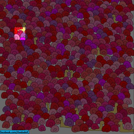 test mozgalica optička iluzija  sakriveno srce test mozgalica optička iluzija  sakriveno srce