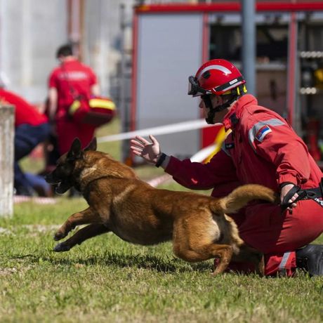 Zigi pas koji odlazi u Tursku, Srbija vatrogasci Turska