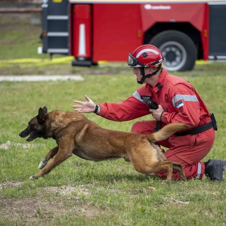 Zigi pas koji odlazi u Tursku, Srbija vatrogasci Turska