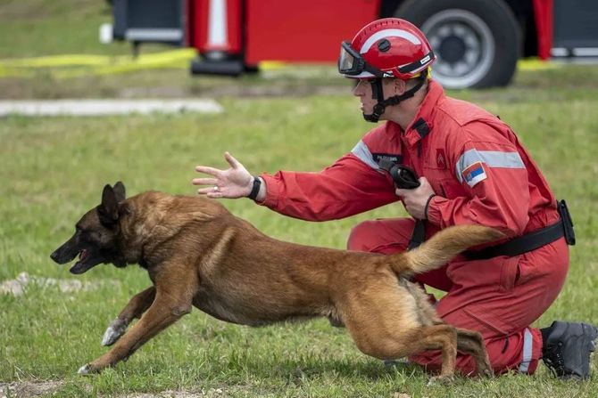 Zigi pas koji odlazi u Tursku, Srbija vatrogasci Turska