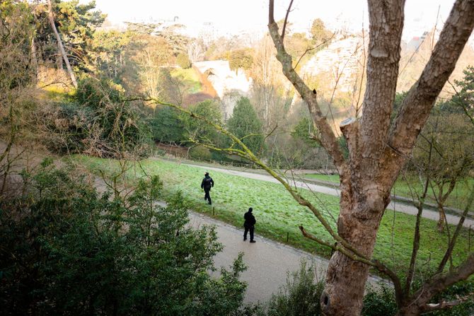 Pariz, ubistvo, park