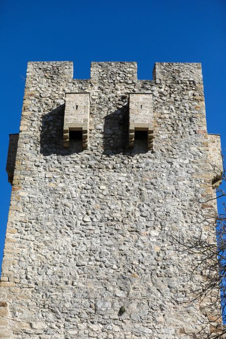 Manastir Manasija