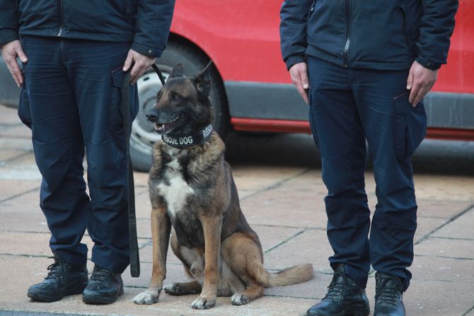 Doček vatrogasaca spasilački tim