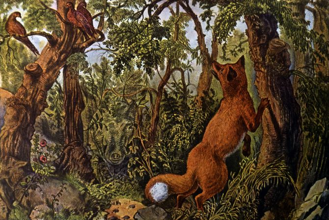 Optička iluzija skrivalica lisica The Puzzled Fox, Currier & Ives, Lithograph, Circa 1872 Optička iluzija skrivalica lisica The Puzzled Fox, Currier & Ives, Lithograph, Circa 1872