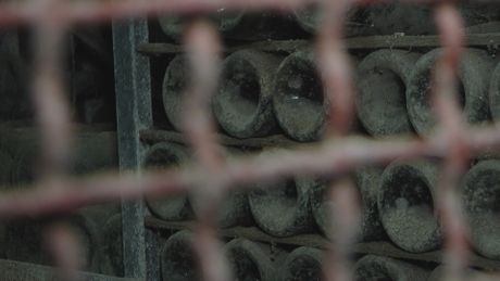 vinarija, kraljeva vinarija, topola