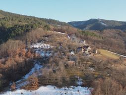 Deda Vide, Mokra Gora