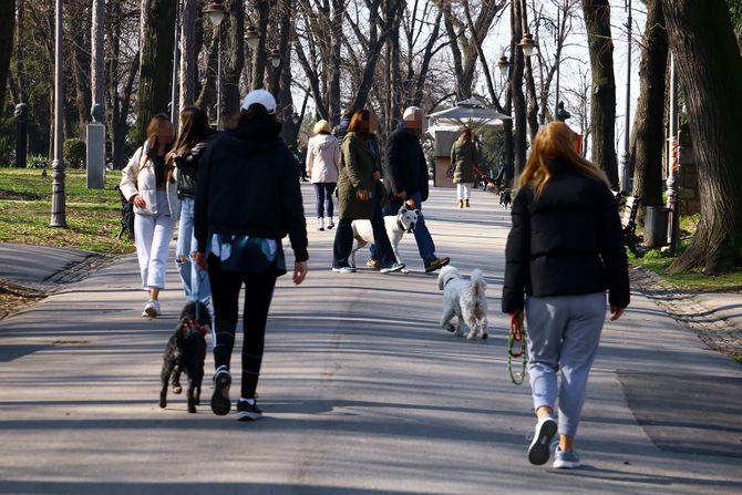 Kalemegdan Lepo vreme Toplo vreme Sunčano vreme Sunce Sunčan dan prognoza vremena Vremenska prognoza