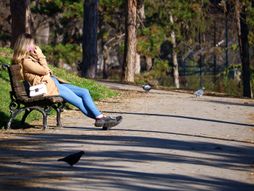 Kalemegdan Lepo vreme Toplo vreme Sunčano vreme Sunce Sunčan dan prognoza vremena Vremenska prognoza